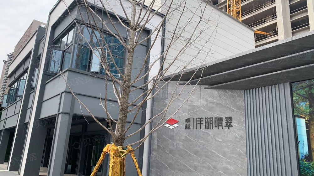 卓越洋湖晴翠