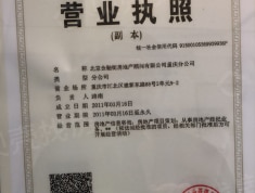 金融街两江融府开发商营业执照