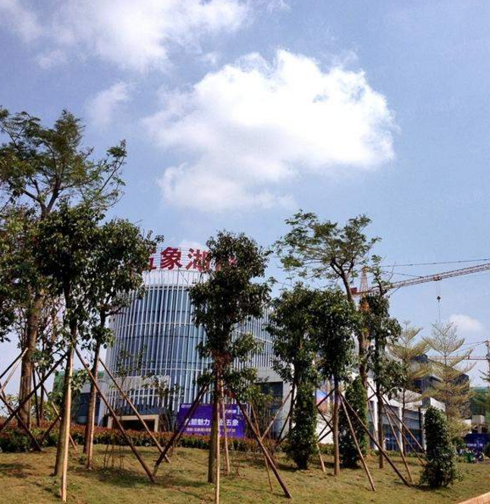 五象湖1号实景图