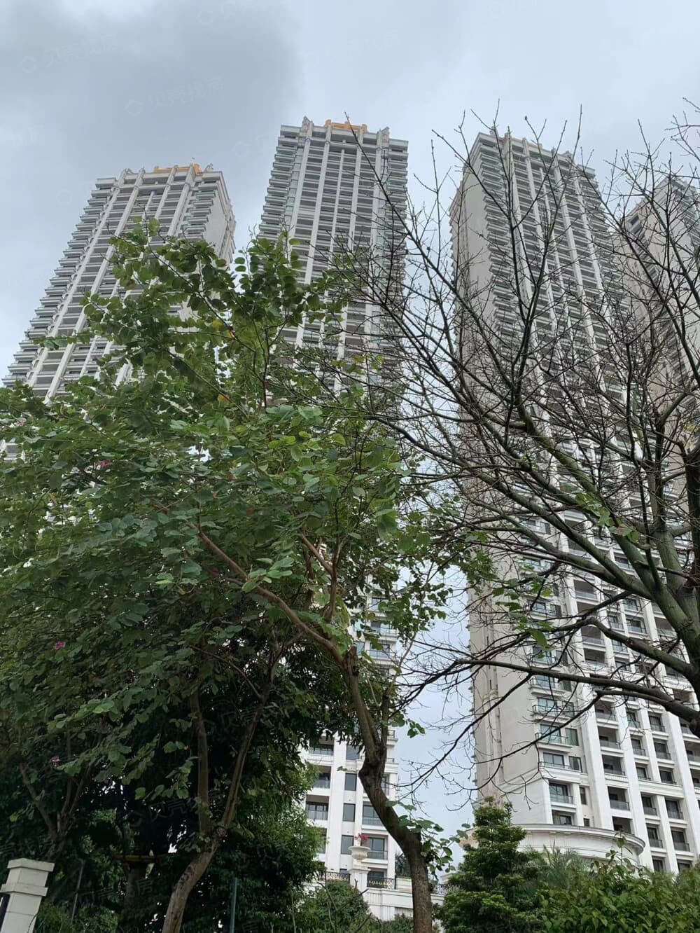 凯旋1号实景图
