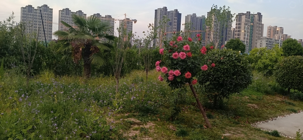 周口天明城相册