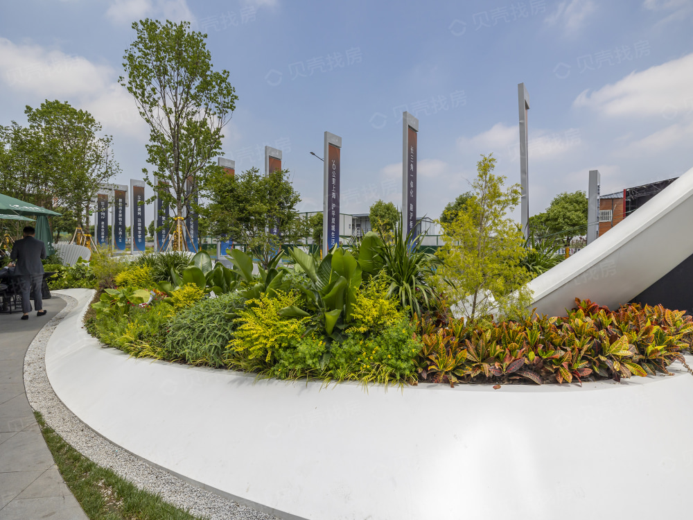 碧桂园星悦里相册