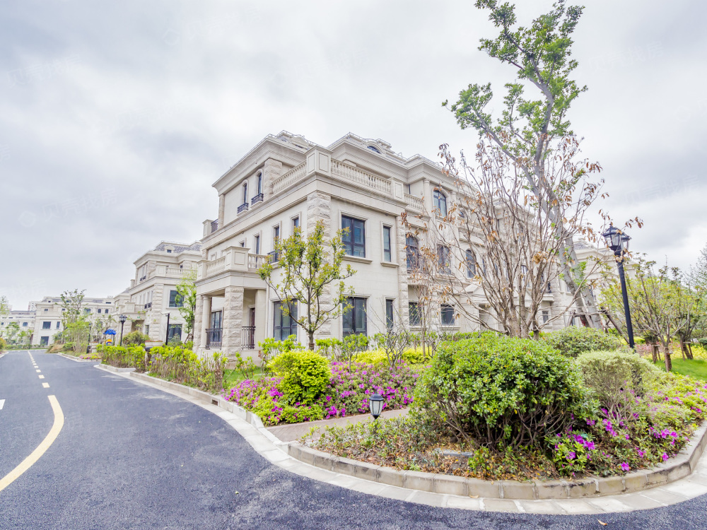 中金海棠湾,位于浦东新区周浦镇东南角,小_中金海棠湾(别墅)评论详情