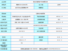 亿德光谷先锋预售许可证