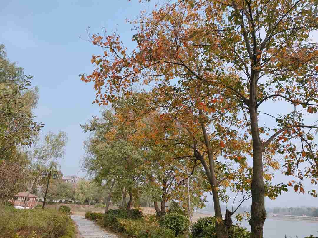 麒麟花海 , 原生态 ,自然风光,山水_麒麟花海评论详情-南阳贝壳新房