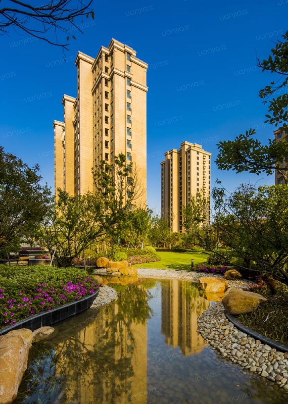 链家新房朱冰硕为您理性点评大名城紫_大名城紫金九号评论详情-上海