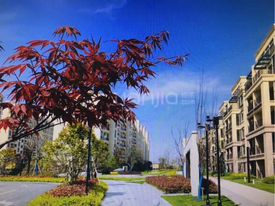 【中南九龙澜邸_宣城中南九龙澜邸楼盘】怎么样|评价|业主论坛|用户