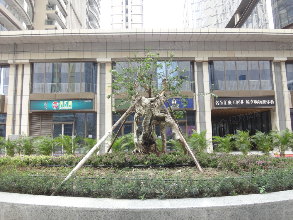项目 位于禅城区季华路四路于佛山大道交汇_紫薇华府评论详情-佛山
