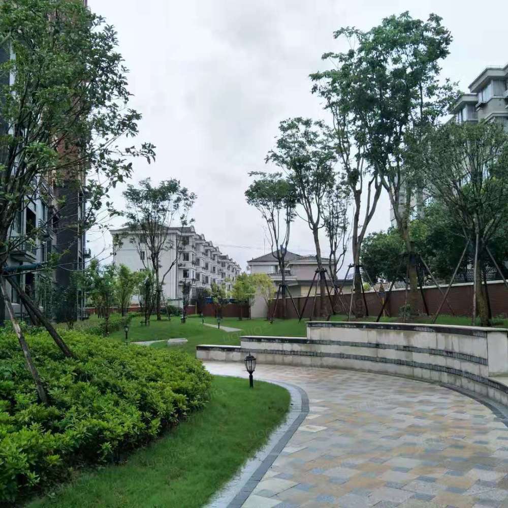 《愉光苑》近几年松江老城的新房很少,而项目作为松