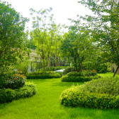 绿城·春江明月