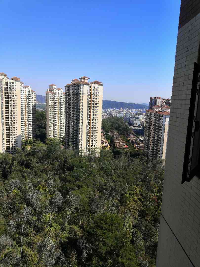 【清林半山_威海清林半山楼盘】怎么样|评价|业主论坛|用户点评-威海