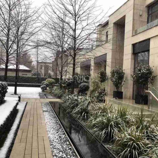 【金臣别墅_上海金臣别墅楼盘】怎么样|评价|业主论坛|用户点评-上海