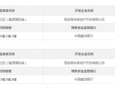 隆源国际城预售许可证