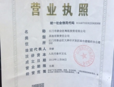 碧桂园凤凰城开发商营业执照