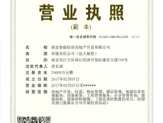 鲁能硅谷公馆开发商营业执照