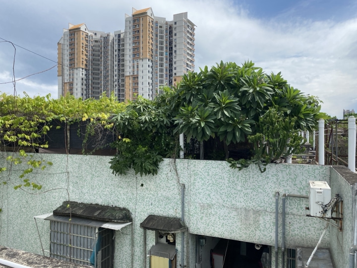 棠德花苑 高层南北对流两房 满五唯一