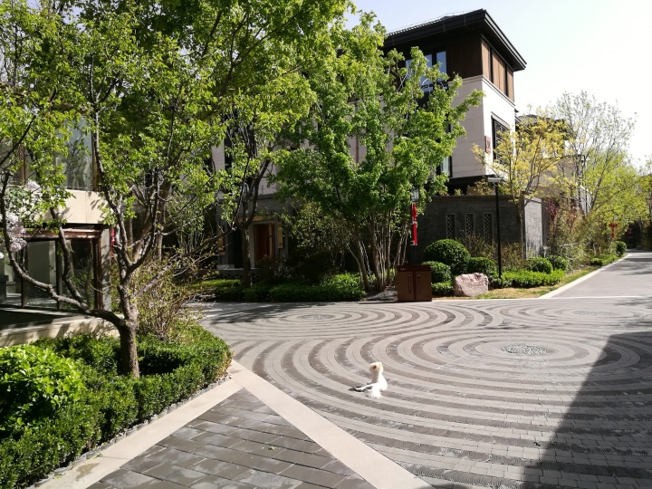 北京二手房 朝阳二手房 中央别墅区二手房 泰禾北京院子二手房