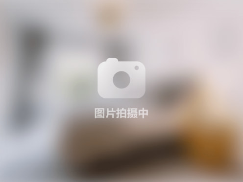 整租·旭辉浦江国际广场(酒店式公寓) 1室1厅 西