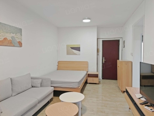 整租·珠岛花园 1室1厅 北