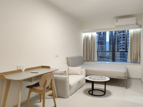 整租·振业天颂花园 1室1厅 北