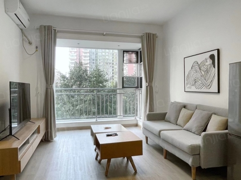 整租·长富新城 1室1厅 东