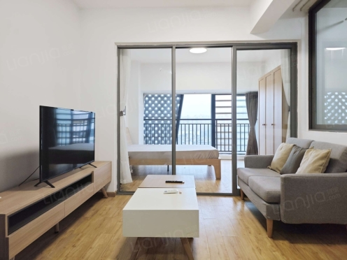 整租·蓉上坊一期 1室1厅 东南