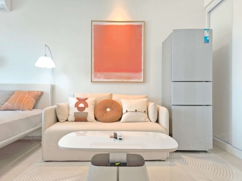 整租·天府滨江中心 1室1厅 北