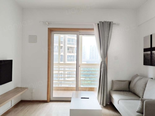 整租·天鹅湖北苑 1室1厅 东