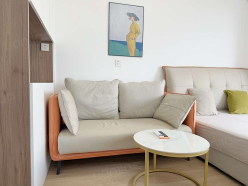 整租·万科·新川荟 1室1厅 北