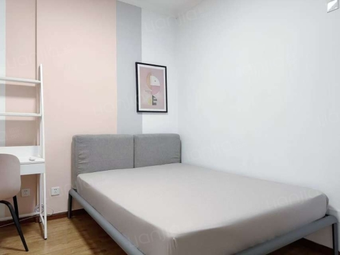 合租·现代城 3居室 东北卧