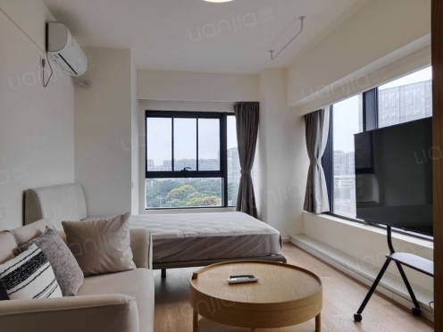 整租·当代钛公馆 1室1厅 北