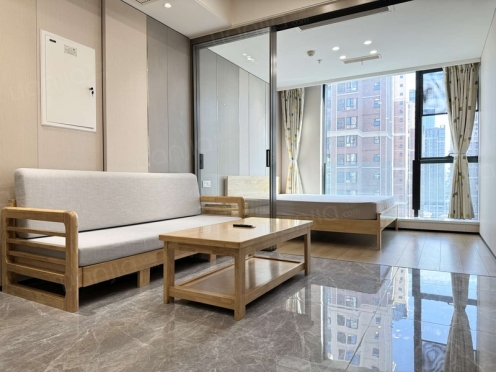 整租·中德时代星辰 1室1厅 南