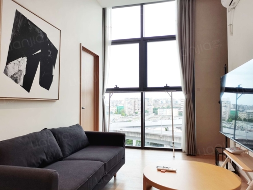 整租·双楠悦天地 1室1厅 南