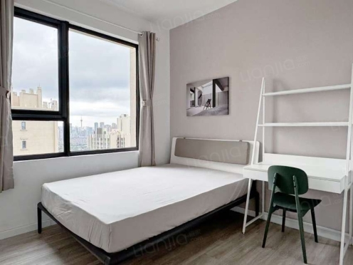 合租·鲁能公馆1区 3居室 西卧