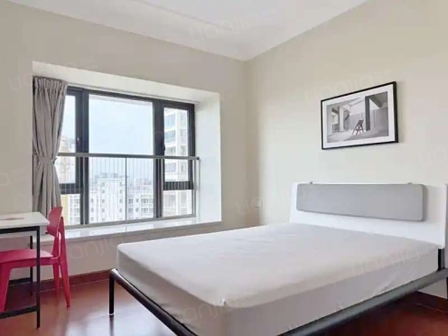 合租·天府半岛七期 4居室 南卧