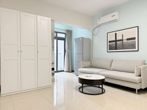 整租·锐力领峰 1室1厅 西