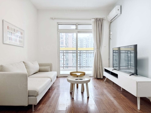 整租·镏金岁月 1室1厅 北