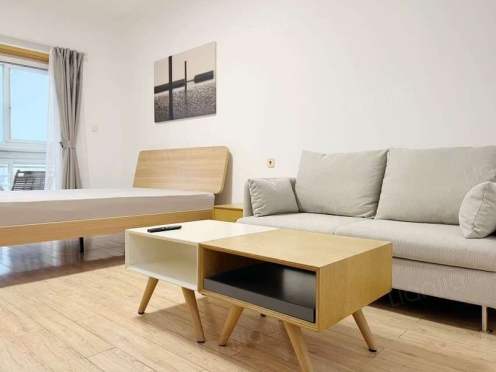 整租·天鹅湖北苑 1室1厅 北