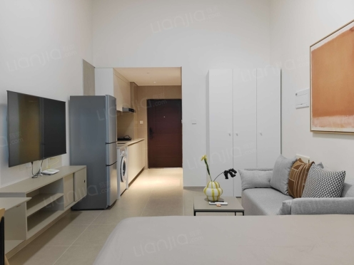 整租·龙湖紫都城 1室1厅 东南