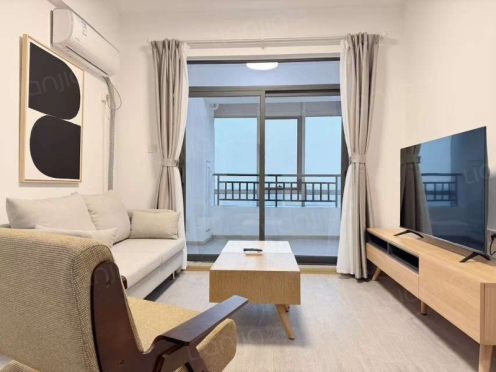 整租·天紫界 1室1厅 东北