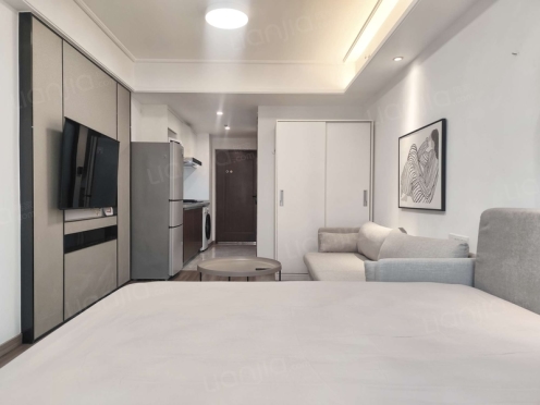 整租·保利星荟 1室1厅 北