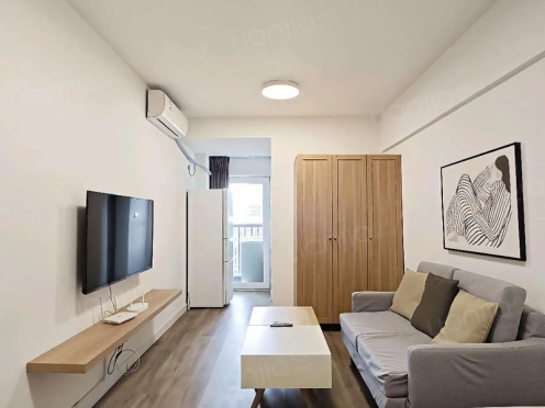 整租·新城市广场 1室1厅 西北