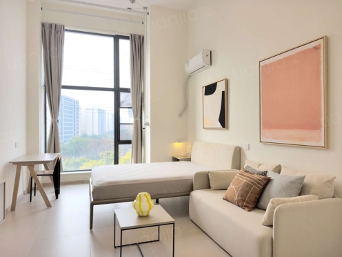 整租·龙湖紫都城 1室1厅 西南