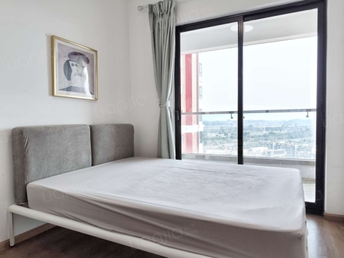 合租·麓府 4居室 东南卧