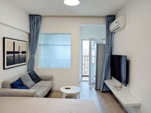 整租·新城市广场 1室1厅 东北