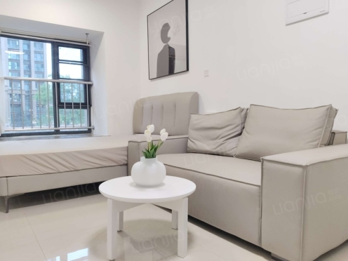 整租·成发紫悦府 1室1厅 西南