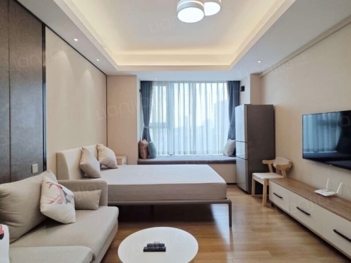 整租·润富国际公寓 1室1厅 东