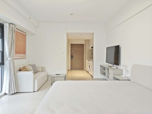 整租·天府匠芯 1室1厅 东北