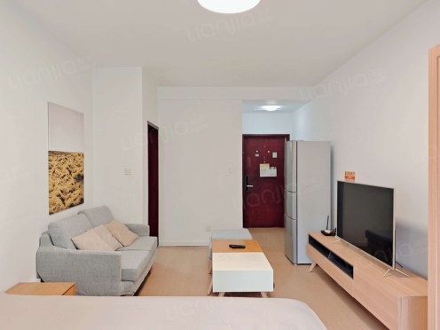 整租·长富新城 1室1厅 东北