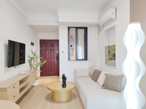 整租·南湖时光里 1室1厅 南